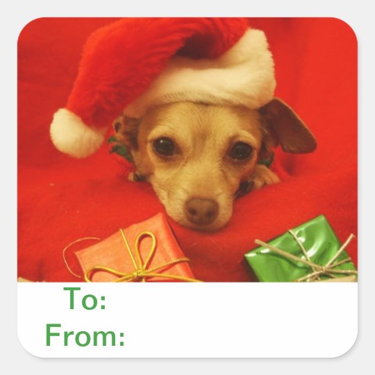 To and From Gift Tags Chihuahua Dog Sticker