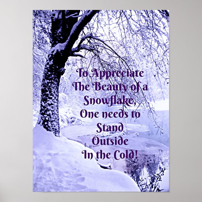 To Appreciate the Beauty of a Snowflake Poster (Front)