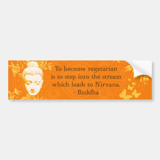 To become vegetarian... bumper sticker (Front)