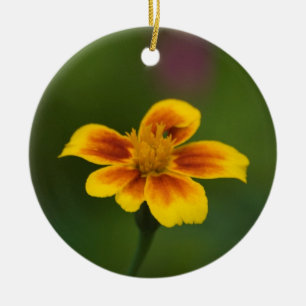 To bee or not to be ceramic ornament
