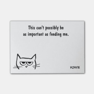 To Do List - Feed Angry Cat First - Funny Post-Its Post-it Notes