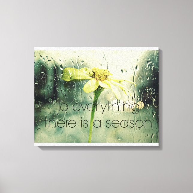 To everything a Season Rain and Flower Window Canvas Print (Front)