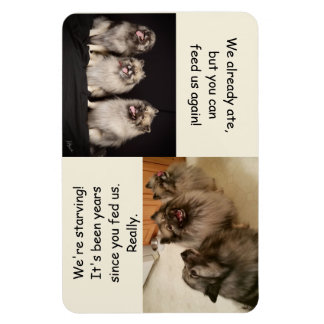 To Feed or Not to Feed Is the Question Magnet