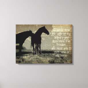 To Gaze at a Wild Horse Canvas Print