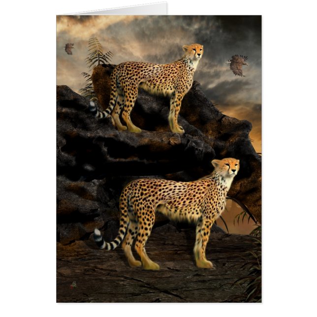 To Hunt in Pairs - Cheetahs (Front)