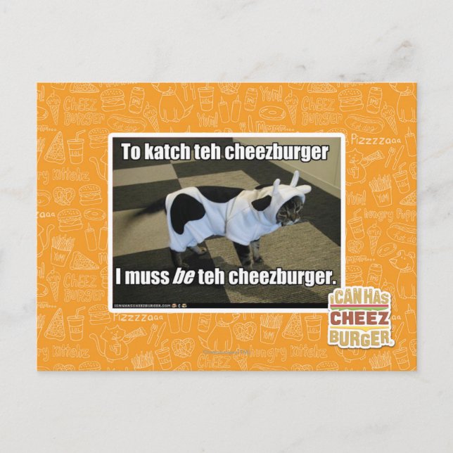 To katch teh cheezburger postcard (Front)