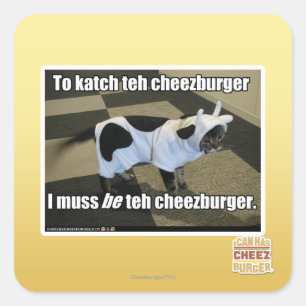 To katch teh cheezburger square sticker