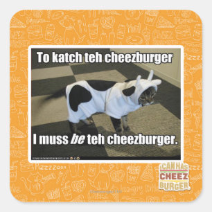 To katch teh cheezburger square sticker