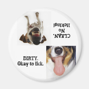 To Lick or Not To Lick dishwasher magnet