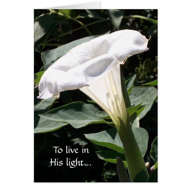 To live in His light (Front)