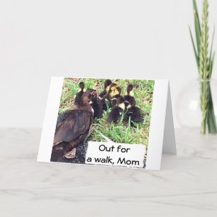 TO MOM-FAMILY OF DUCKS SAY TOGETHER-HAPPY BIRTHDAY CARD