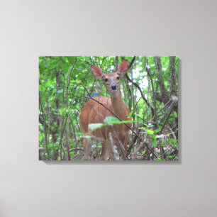 "To my deer friend" Canvas Print