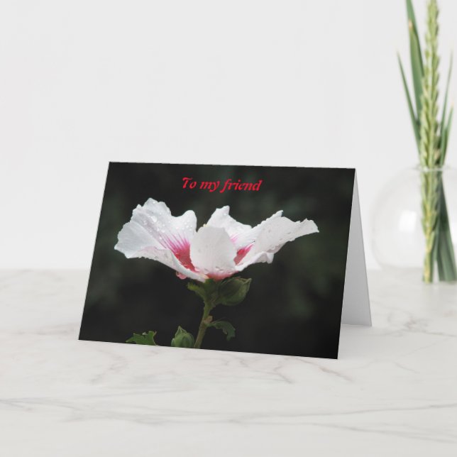 To my friend card (Front)