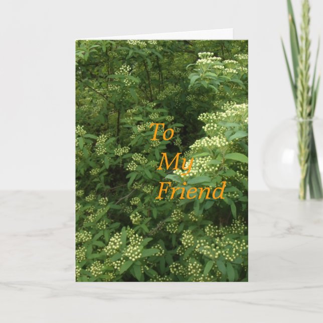 To My Friend Card (Front)