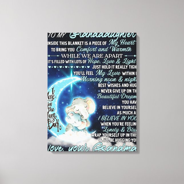 To My Granddaughter Elephant  Birthday Gift Idea Canvas Print (Front)
