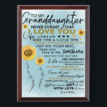 To My Granddaughter Gift, Grandkids Birthday Gift Award Plaque<br><div class="desc">To My Granddaughter Gift,  Grandkids Birthday Gift</div>
