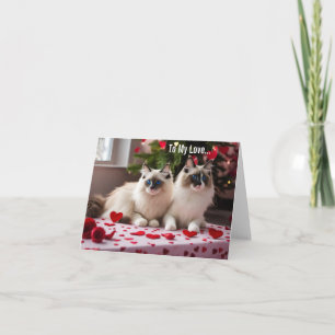 To My Love - Cat Valentine or Christmas Card