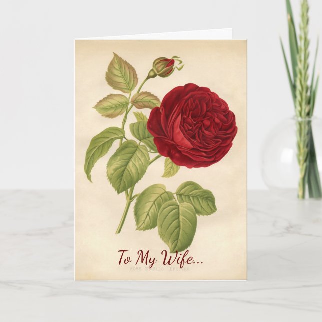 To My Wife Valentine Holiday Card (Front)