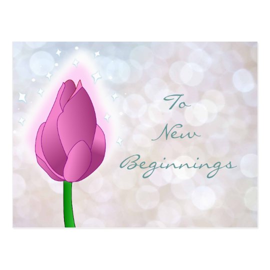 To New Beginnings pink bud Postcard
