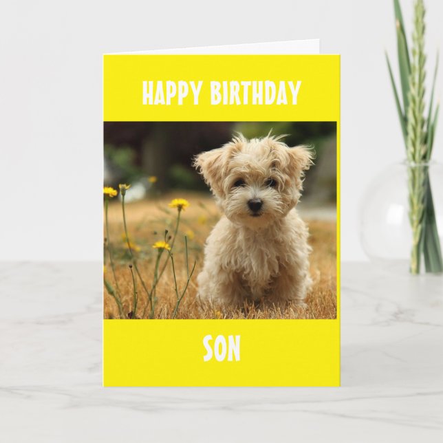 TO OUR OR MY SON ON YOUR BIRTHDAY! CARD (Front)