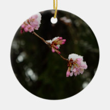 'To See the Cherry Hung with Snow' -A E Housman