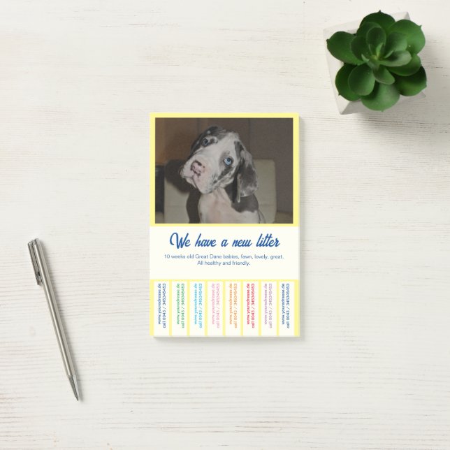 To sell Dane Puppies colorfull Post-it Notes (Office)