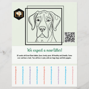 To sell Puppies Flyer