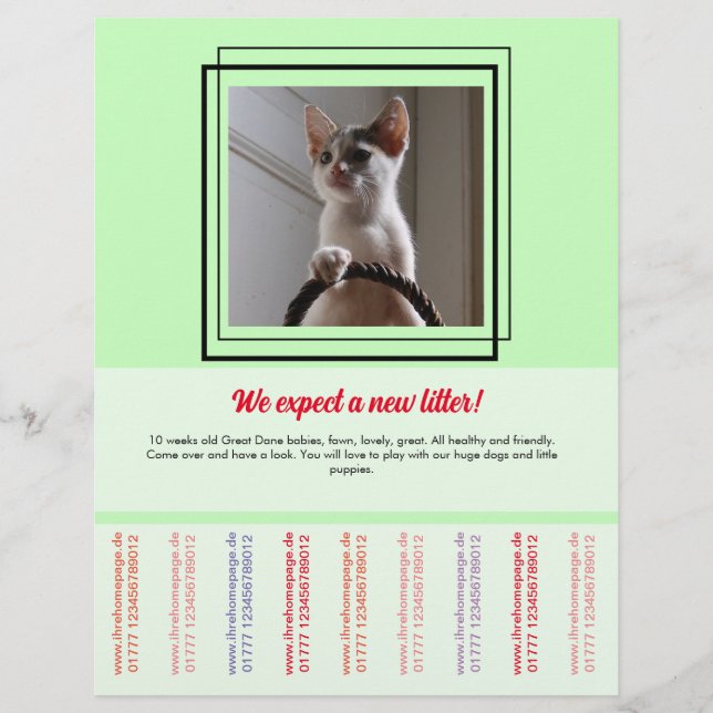 To sell Puppies Flyer (Front)
