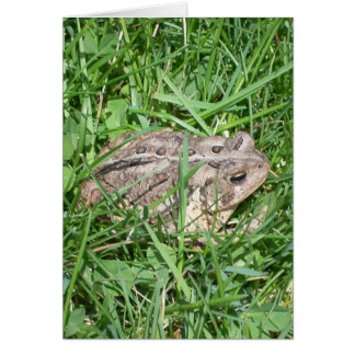 Toad dans l'herbe