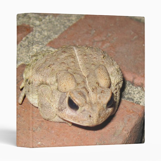Toad Frog Binder (Front/Spine)