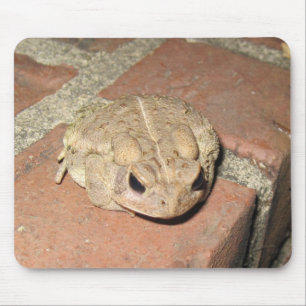 Toad Frog Mouse Pad