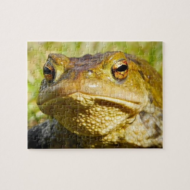 Toad Jigsaw Puzzle (Horizontal)