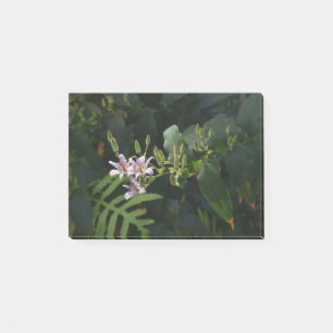 Toad Lily In The Spotlight. Post-it Notes