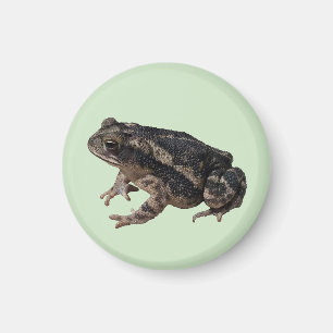 Toad Magnet
