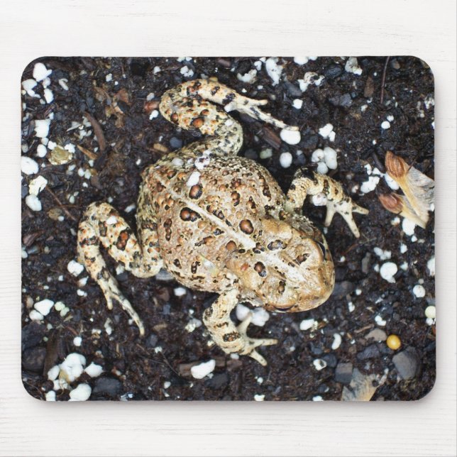Toad Mouse Pad (Front)