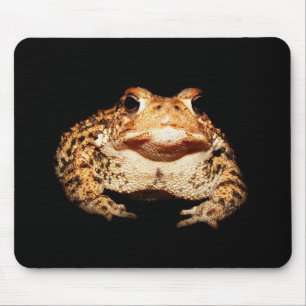 toad mouse pad