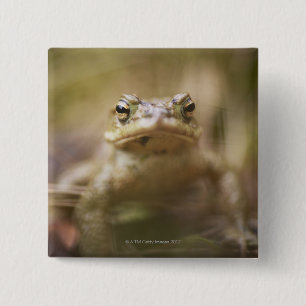 Toad of the Day 2 Inch Square Button