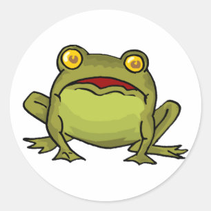Toad Stare Classic Round Sticker