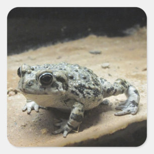 Toad Stickers