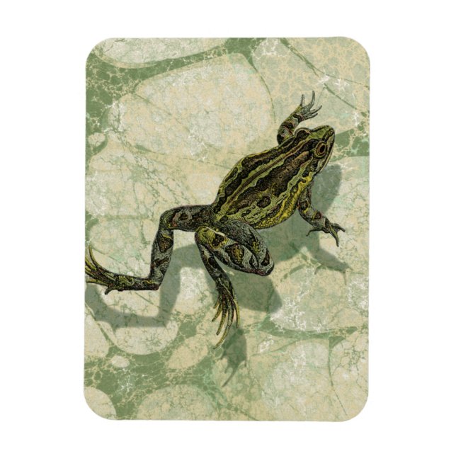 Toad Swinning in the Water Magnet (Vertical)