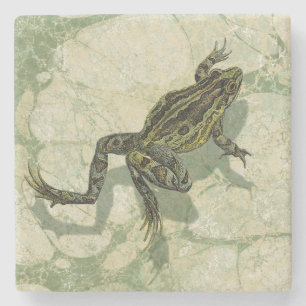 Toad Swinning in the Water Stone Coaster
