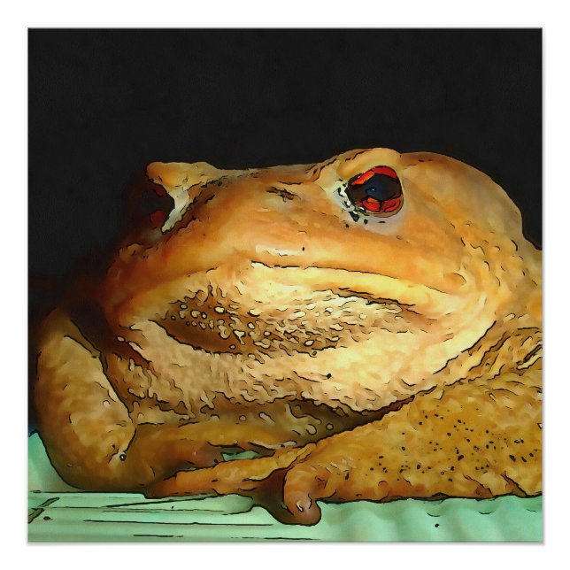 Toad With Philosophical Disposition Painting Poster (Front)