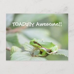 Toadally awesome card with frog