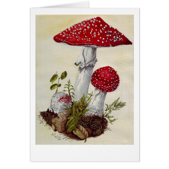 Toadstool (Front)