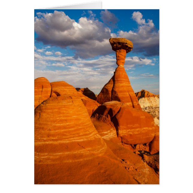 Toadstool après-midi (Devant)