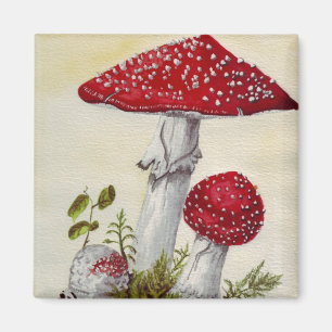 Toadstool Magnet