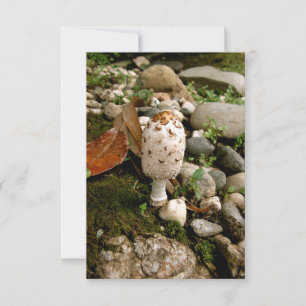 Toadstool, Moss and Rocks Thank You Card