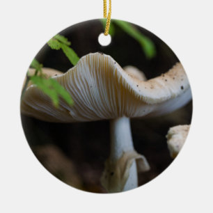 Toadstool Umbrella Ceramic Ornament