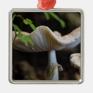 Toadstool Umbrella Metal Ornament