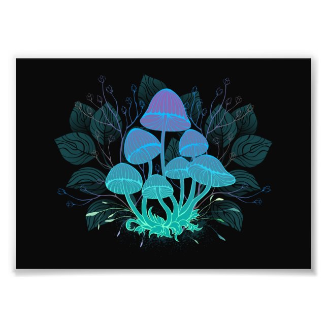 Toadstools in Bushes Photo Print (Front)